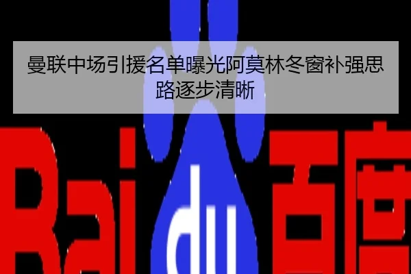 曼联中场引援名单曝光阿莫林冬窗补强思路逐步清晰