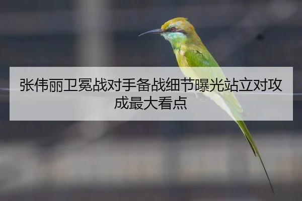 张伟丽卫冕战对手备战细节曝光站立对攻成最大看点